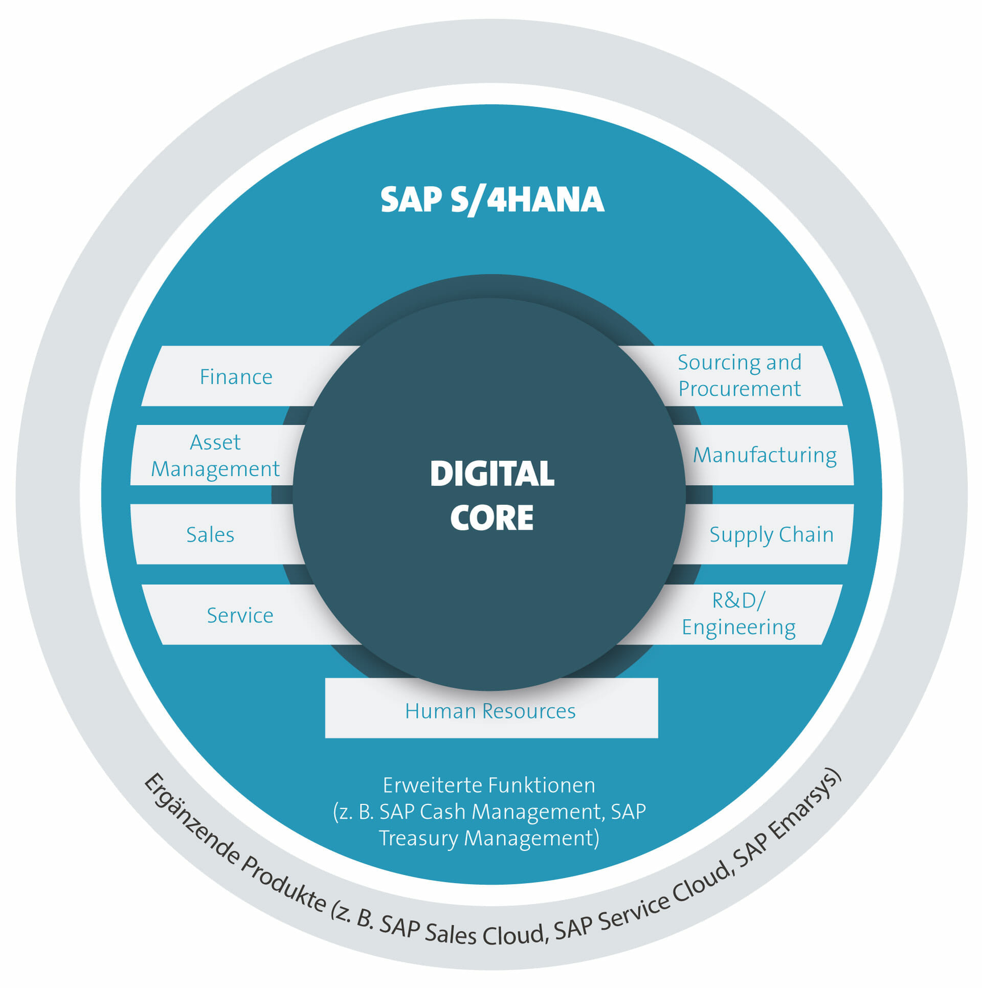 SAP S/4HANA – Echtzeit-ERP: Fakten & Überblick