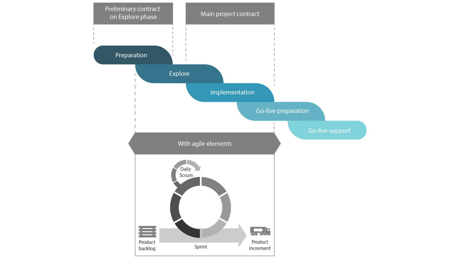 Successful SAP Implementation in Your Company by FIS
